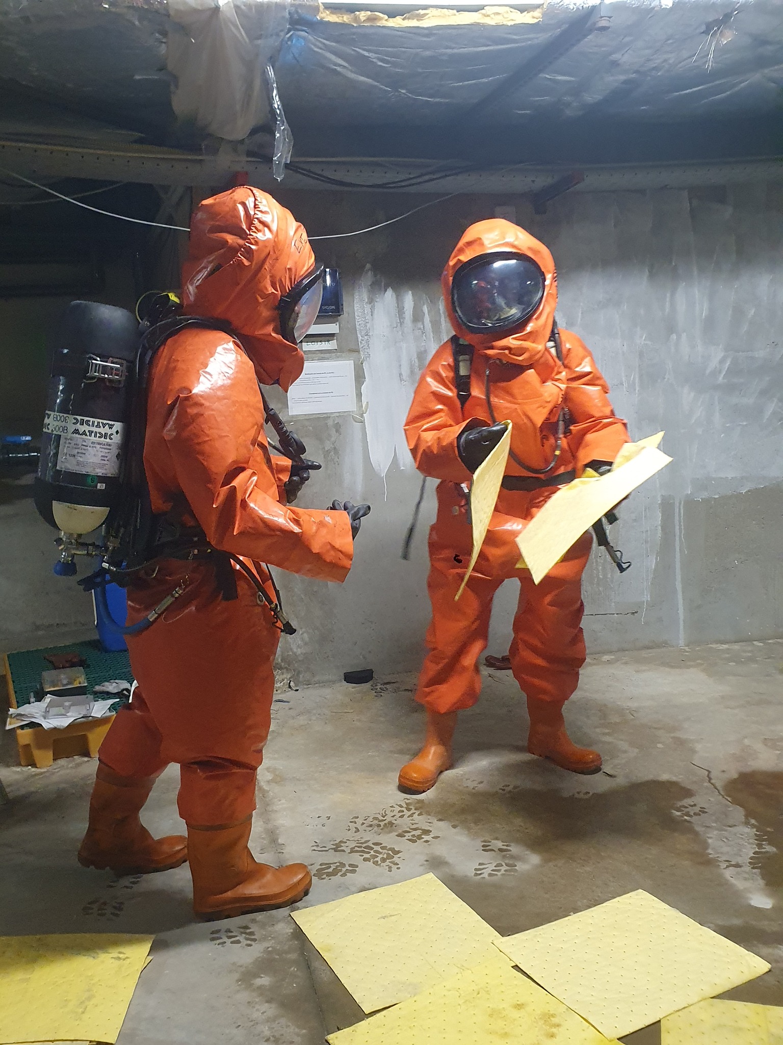 575157574 1147784177458778 5631091696578716976 N