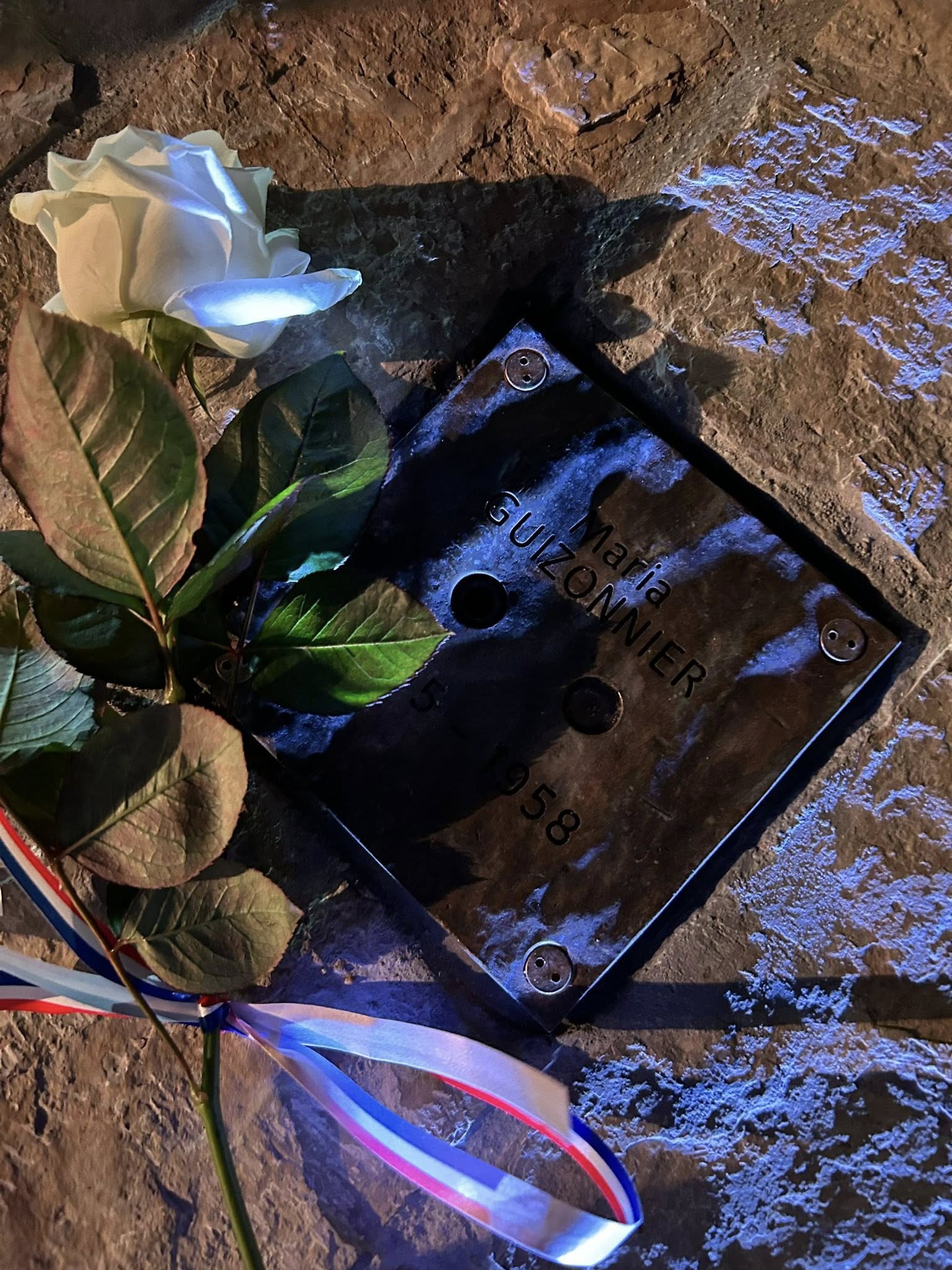 586110812 1162589585978237 2816058021490779259 N