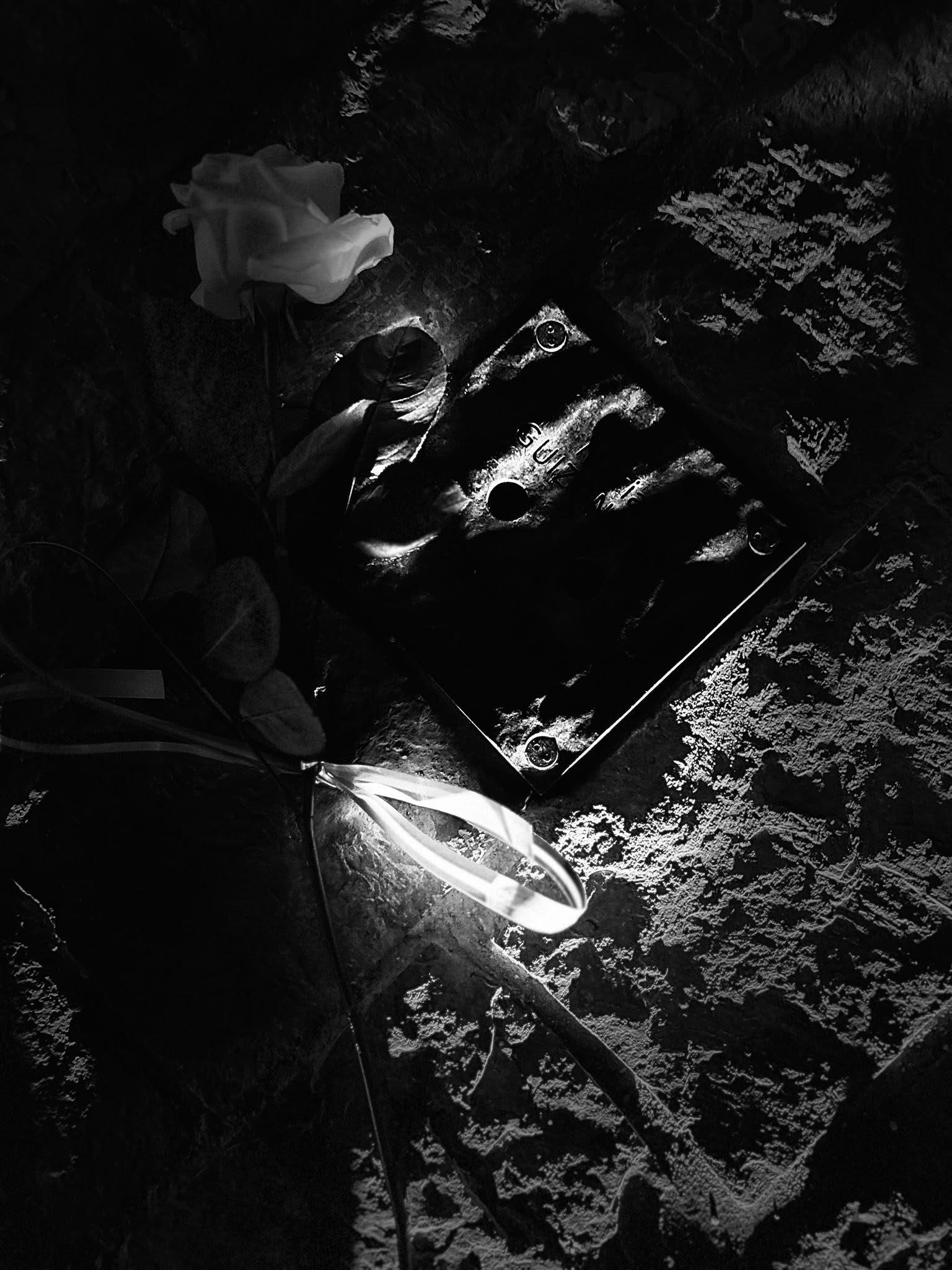 586300262 1162589569311572 1160824343372720139 N