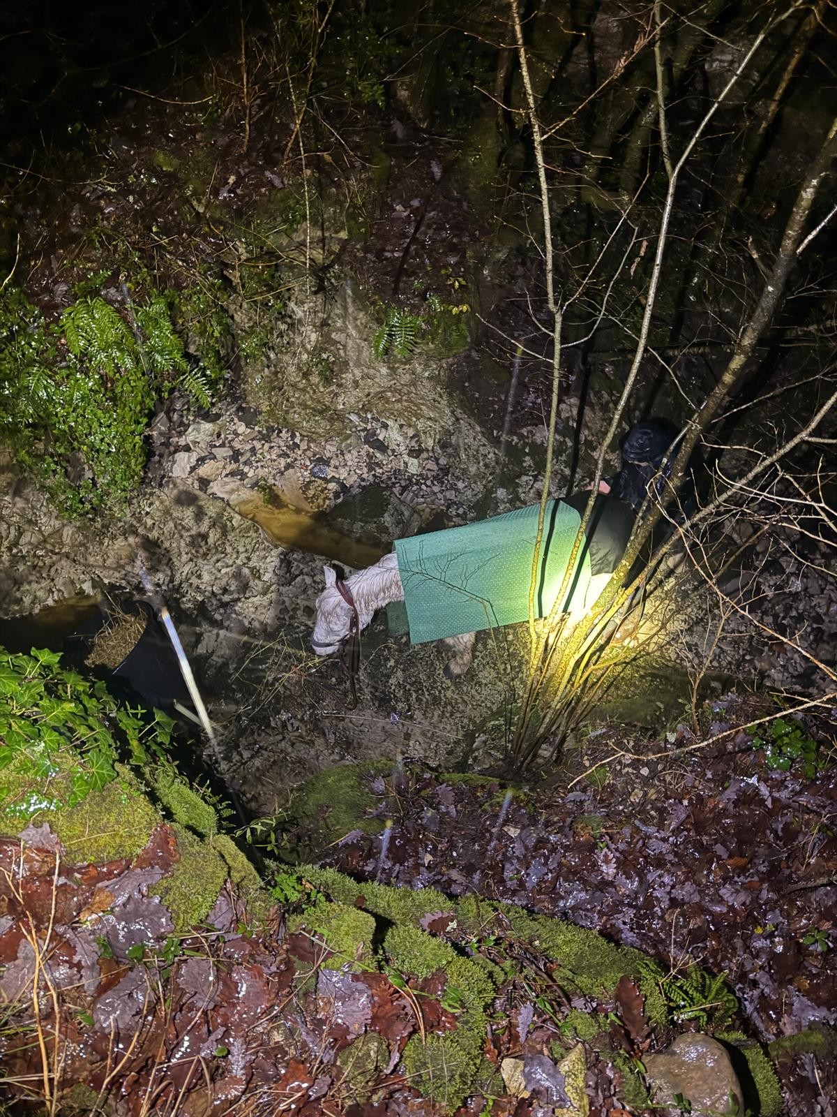 626643025 1220887103481818 6121722636084451482 N