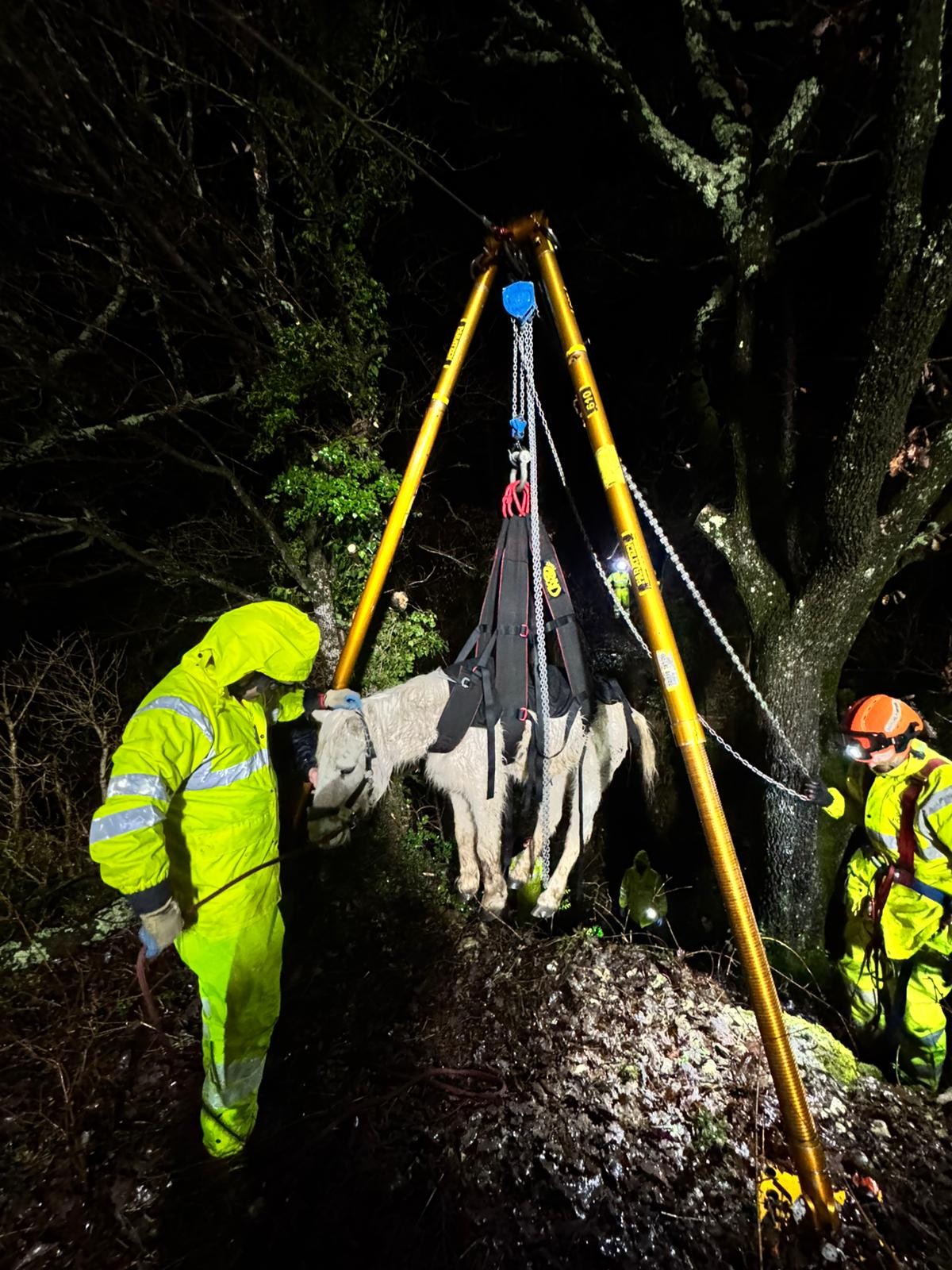 626713992 1220886943481834 12061314827546441 N