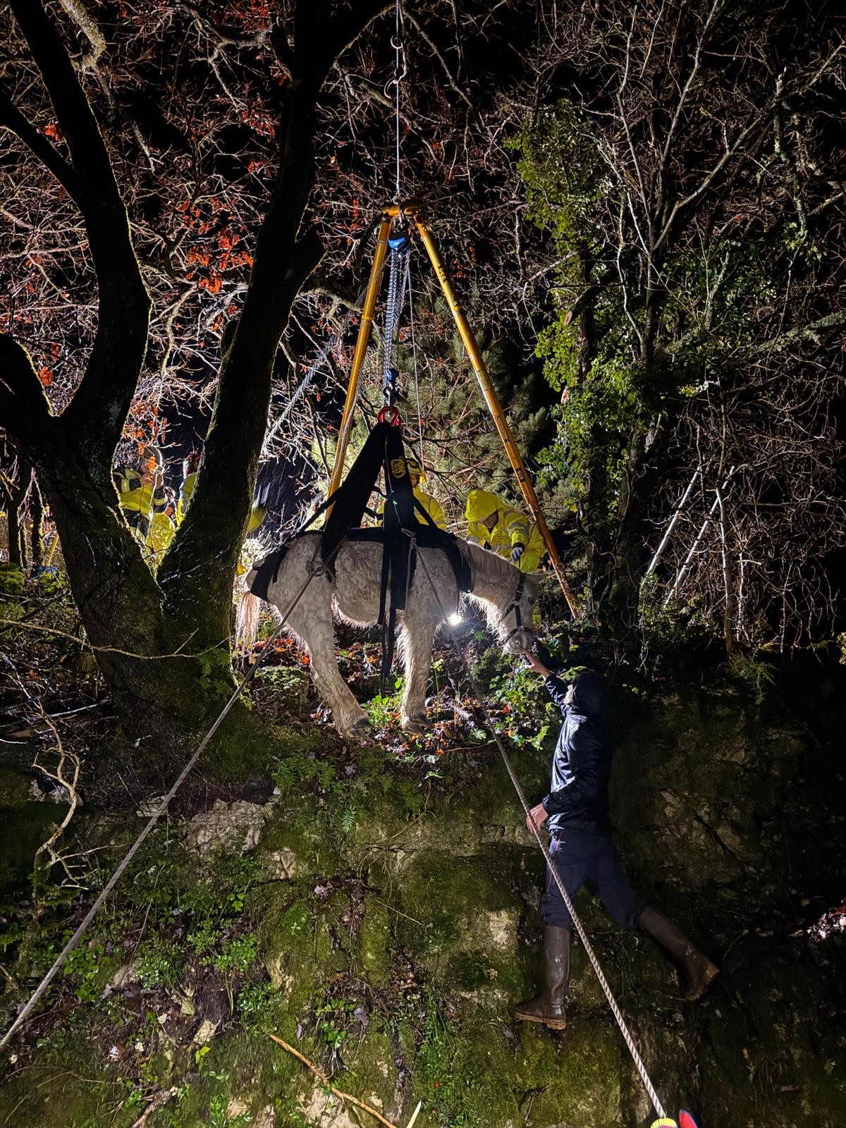 626787169 1220887016815160 7676321739130666868 N