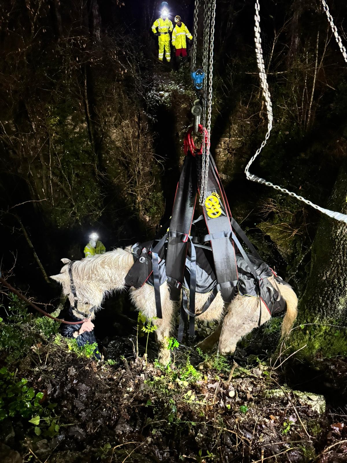 626792303 1220886983481830 7811817425838394085 N