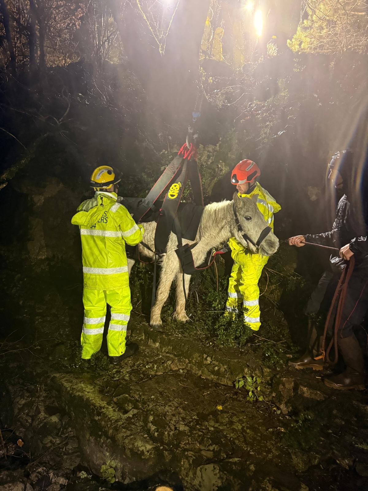 626822562 1220887153481813 4550619134215023339 N