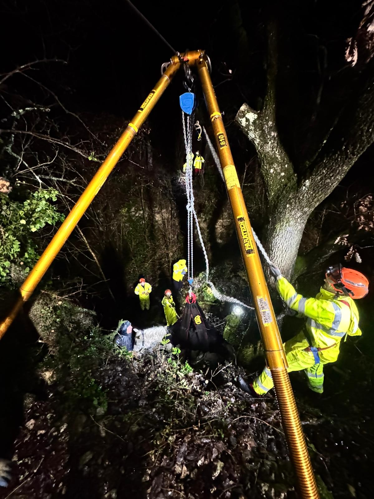 627346390 1220886913481837 5379566740172606345 N