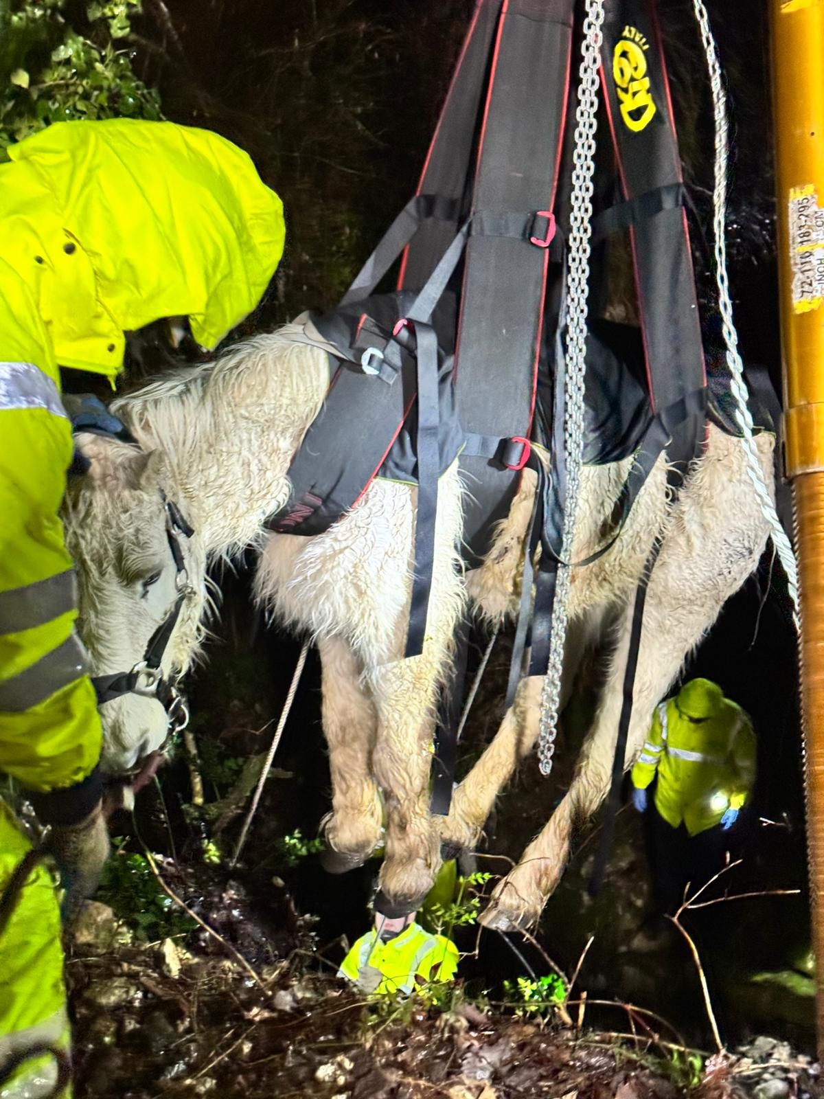 627364354 1220886923481836 3932183554030673095 N