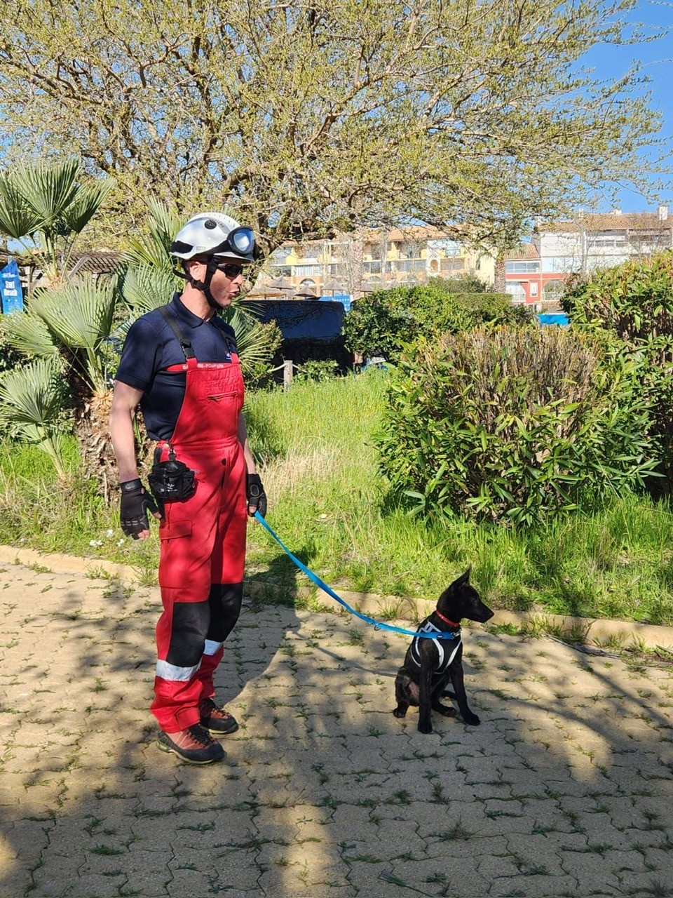 656215155 1263835512520310 6528859860407483401 N