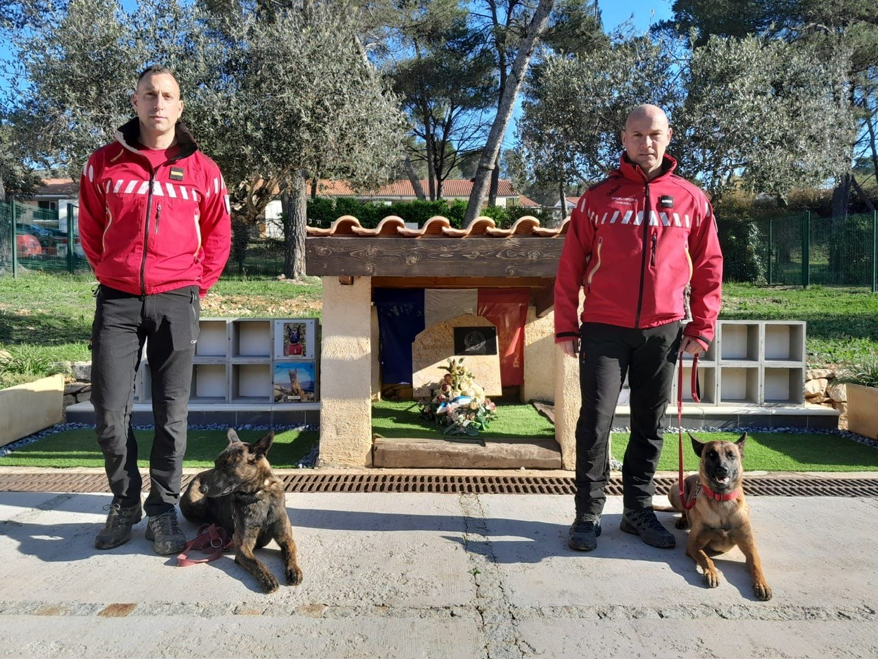 657392022 1263835459186982 1648162338794811054 N