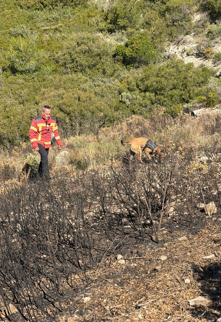 669735330 1282810400622821 2735200511545892414 N