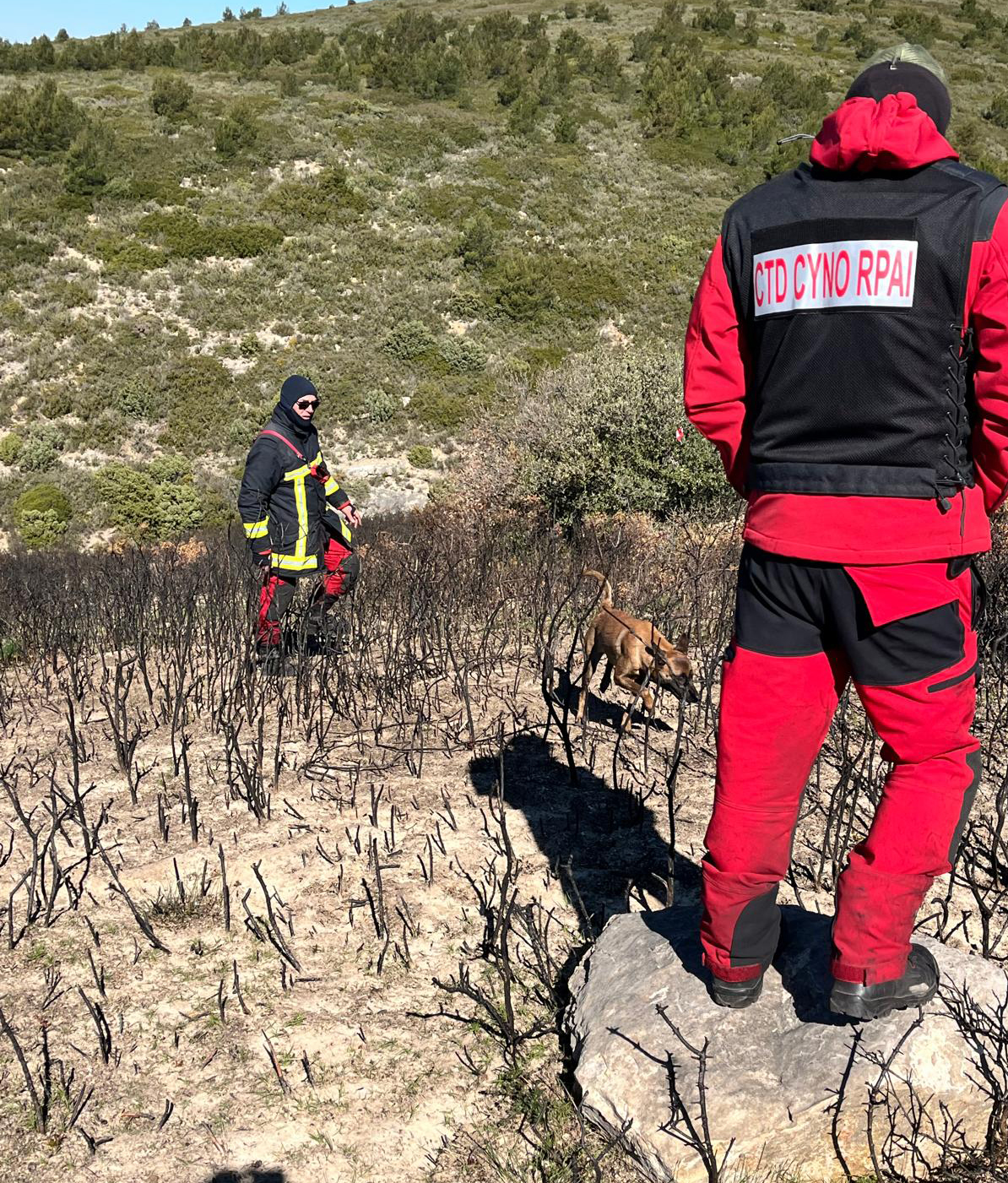 669756533 1282810167289511 7220164633440285497 N