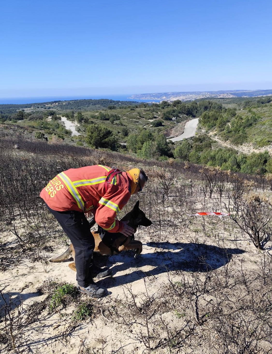 671126185 1282810317289496 9120703127871532159 N